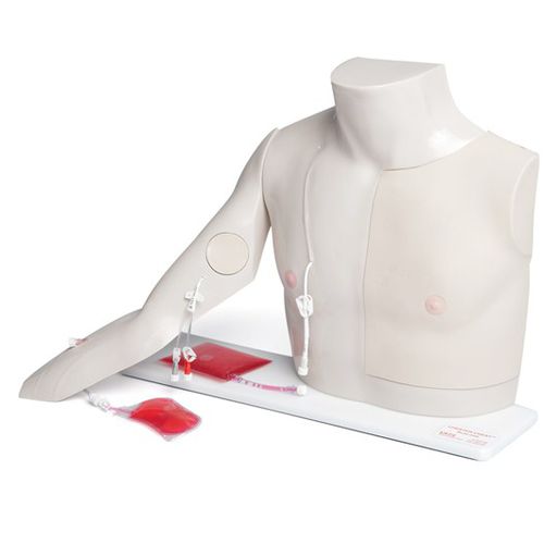 Patientensimulator für venösen Gefäßzugang - Chester  - Laerdal Medical - Infusion / für Krankenpflege / Oberkörper