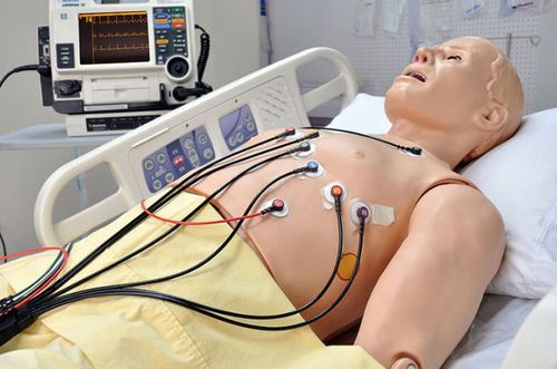 Monitoring-Simulator - HAL® S1020  - Gaumard - EKG / Bewertung / Ausbildung