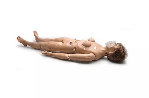 Patientensimulator für Katheterisierung - Code Blue® S304 - Gaumard - für Palpationen / für Injektionen / zur Entwässerung