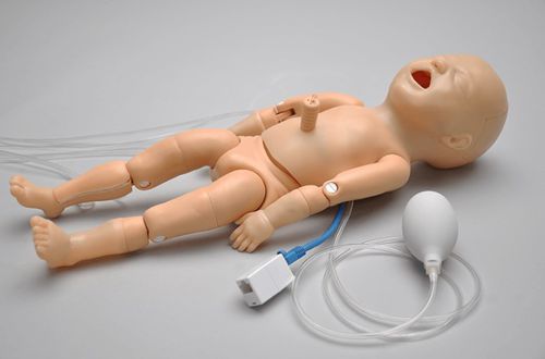 Injektionssimulator - Premie™ Blue S108 - Gaumard - Atemwegsmanagement / für CPR / Ausbildung