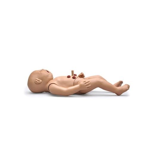 Patientensimulator für Katheterisierung - S107 - Gaumard - für Injektionen / für CPR / für intraossäre Infusion