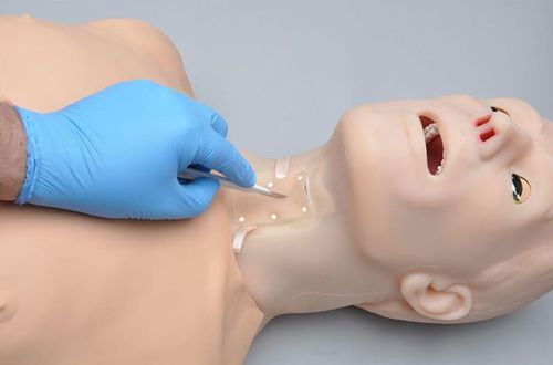 Simulator für Intubation - HAL® S315.400  - Gaumard - für Koniotomie / für CPR / für Tracheotomie