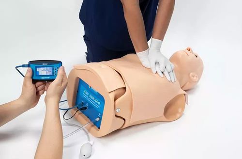 Simulator für Auskultation - HAL® S315.300 - Gaumard - Atemwegsmanagement / Atemwegsmanagement / für CPR