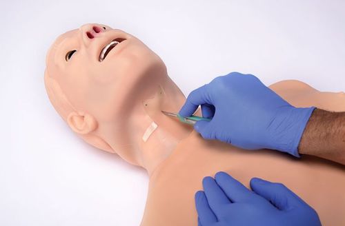 Atemwegsmanagementsimulator - HAL® S315.100 - Gaumard - für Intubation / für Koniotomie / für CPR