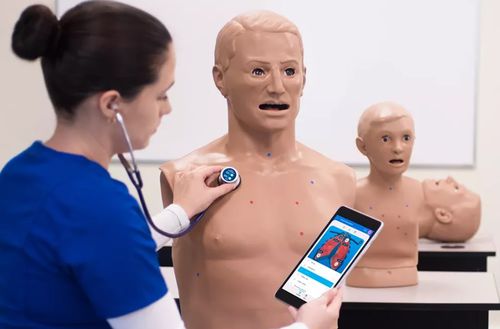 Simulator für Auskultation - HAL® S315.200 - Gaumard - Ausbildung / für Allgemeinpflege / Erwachsene