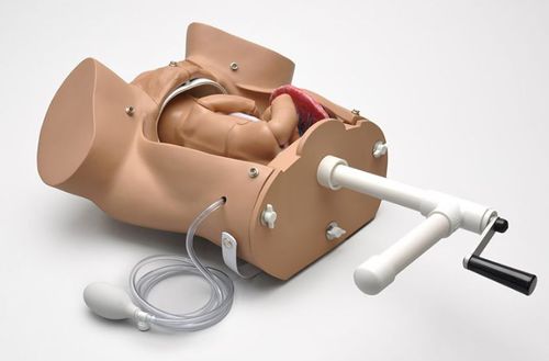 Simulator für Entbindungen - OB Susie® S500.100  - Gaumard - für Palpationen / Ausbildung / für Allgemeinpflege