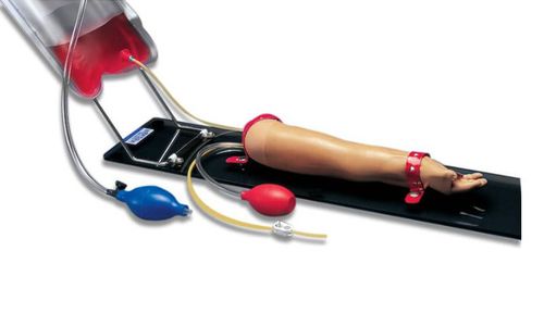 Injektionssimulator - S406 - Gaumard - für Phlebotomie / Ausbildung / für Allgemeinpflege