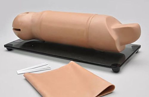 Trainingssimulator - RITA® S519 - Gaumard - für Allgemeinpflege / Arm / Schaumstoff