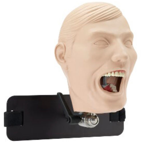 Trainingspuppe für Zahnbehandlung - M-1R-DA-8 - Columbia Dentoform® - Kopf