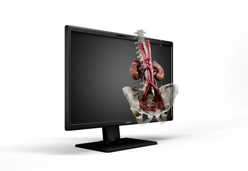 Monitor für OP-Bereich - Eonis 3D - Barco - für medizinische Bildgebung / medizinisch / für die Ausbildung