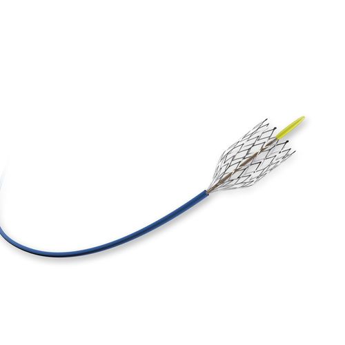 Arteria carotis Stent - MER - Balton - Platin / selbstexpandierend