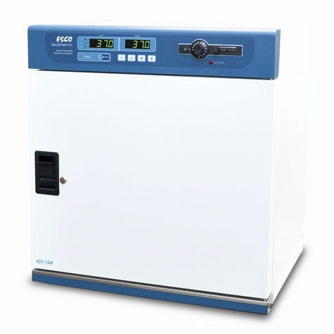 Labor-Inkubator / mit Zwangskonvektion - Isotherm® - ESCO - Tisch / Edelstahl / 1 Tür