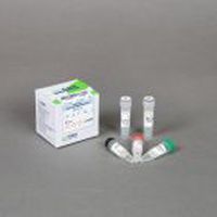 Reagenzkit / umgekehrte Transkriptase - Rocketscript™ - Bioneer Corporation - für RT-PCR / für Echtzeit-PCR