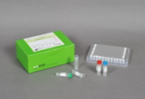 AIDS-Testkit - AccuPower® - Bioneer Corporation - für Infektionskrankheiten / HIV / Blut