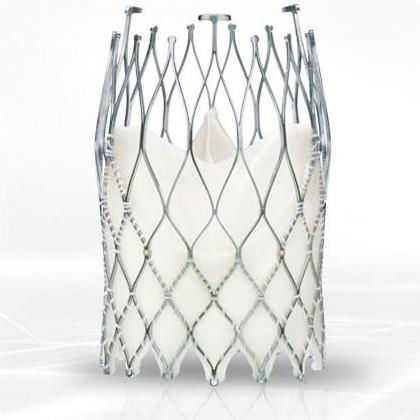 Biologischer Aortenklappenersatz / Aorta - ALLEGRA™ TAVI - Biosensors International - aus Rindergewebe / nahtlos