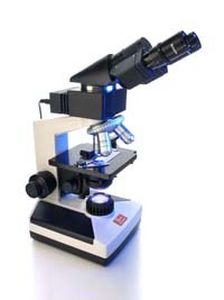 Optisches Mikroskop - imLD | 84201 - BioSystems S.A. - Labor / aufrecht / binokular