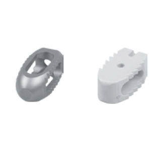 LWS-Zwischenwirbelimplantat - 3149 series - SOFEMED International - dorsaler Zugang / aus PEEK / Titan