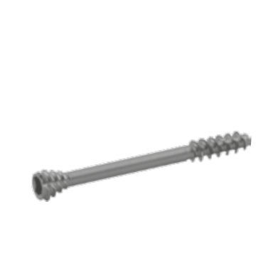Knochen-Kompressionsschraube / für Zehenglied - 3170 series - SOFEMED International - für Fingerglied / kanüliert / Titan