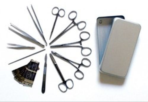Instrumentenset für Kleinchirurgie - IA05601 - Holtex