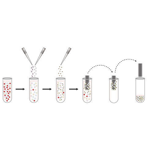 Magnetkugeln-Reagenzkit - T-Cell Select™ - Oxford Immunotec Ltd. - für Proben / für Blutproben / Mycobacterium tuberculosis