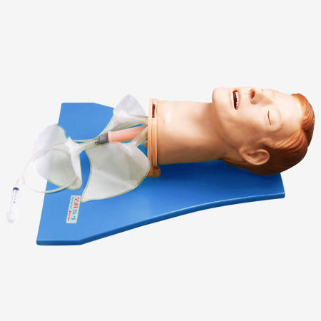 Atemwegsmanagement-Trainingspuppe - GD/J55 - Shanghai Honglian Medical Instrument - Kopf