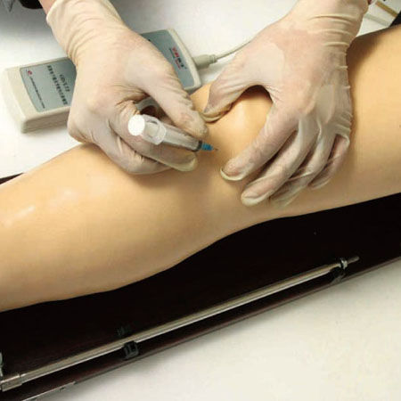 Injektionssimulator für intraartikuläre Injektionen - GD/L72 - Shanghai Honglian Medical Instrument - für Allgemeinpflege / Knie