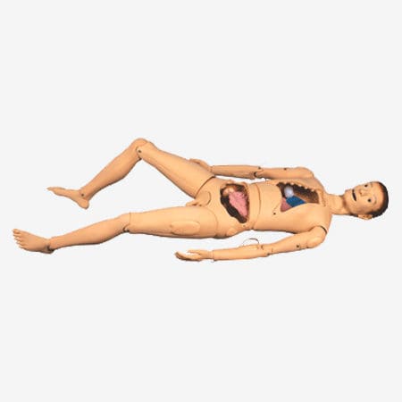 Trainingspuppe für Krankenpflege - GD/H100S  - Shanghai Honglian Medical Instrument