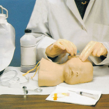 Simulator für Venenpunktion - GD/HS6E - Shanghai Honglian Medical Instrument - für Neugeborene / Kopf