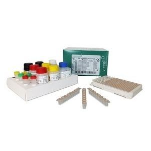 Testkit für Infektionskrankheiten - G/M1004 - Vircell - Globulin / IgG / IgM