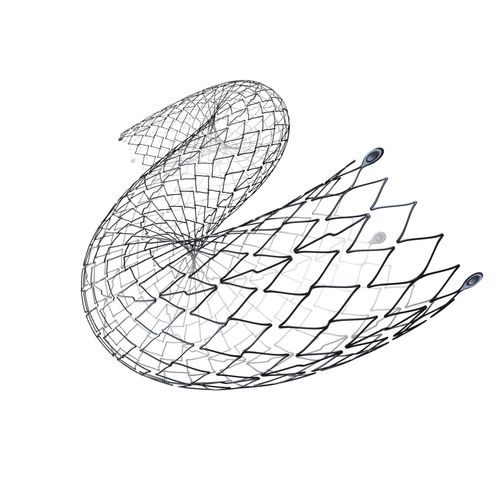 Peripherer Stent - BMS S.E. – Easy Flype - Alvimedica - Femuraarterie / Nitinol / selbstexpandierend