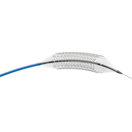 Peripherer Stent - THALISFlex 6F - amg International - Kobaltchrom