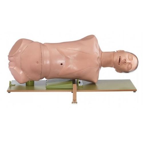 Trainingspuppe für Allgemeinpflege - CLA 4/5 - Coburger Lehrmittelanstalt - für Intubation / weiblich / Oberkörper