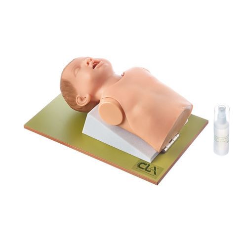 Trainingspuppe für Allgemeinpflege - CLA 8/23 - Coburger Lehrmittelanstalt - für Intubation / für Bronchoskopie / Kopf
