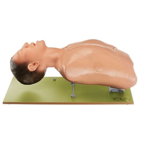 Trainingspuppe für Allgemeinpflege - CLA 8/9 - Coburger Lehrmittelanstalt - für Intubation / für Intubation / für Bronchoskopie