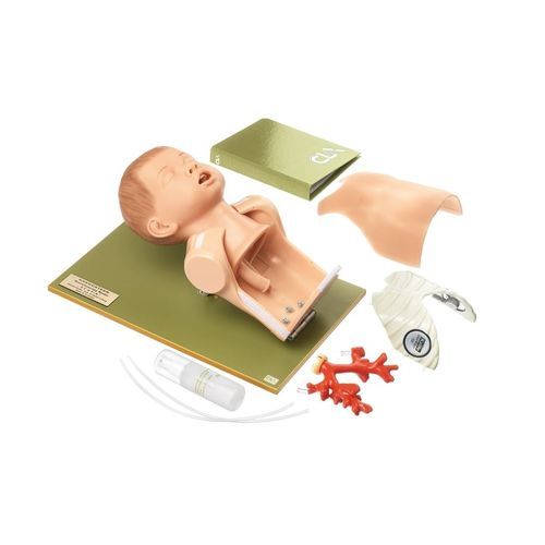 Trainingspuppe für Allgemeinpflege - Broncho Junior  - Coburger Lehrmittelanstalt - für Intubation / für Auskultation / für Bronchoskopie