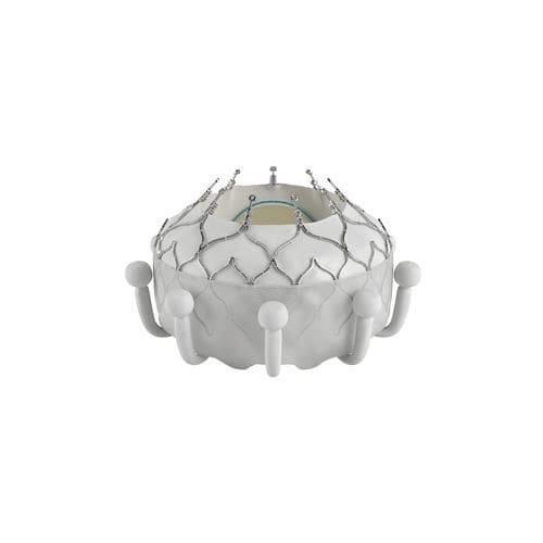 Biologischer Aortenklappenersatz / Trikuspidal - EVOQUE - Edwards Lifesciences - aus Rindergewebe / Nitinol / nahtlos