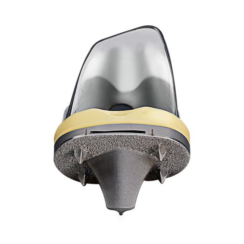 Femur-Patella Knieprothese - EMPOWR POROUS™ - Enovis Surgical - mit fester Scheibe / zementfrei