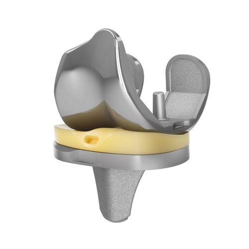 Femur-Patella Knieprothese - EMPOWR 3D® - Enovis Surgical - mit fester Scheibe / zementiert