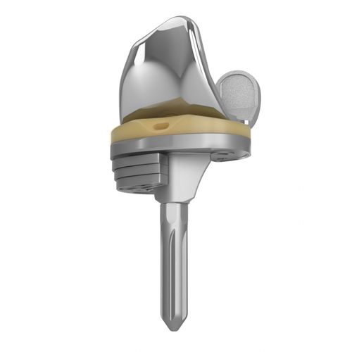 Femur-Patella Knieprothese - EMPOWR™ COMPLEX - Enovis Surgical - Revision / mit fester Scheibe / zementiert