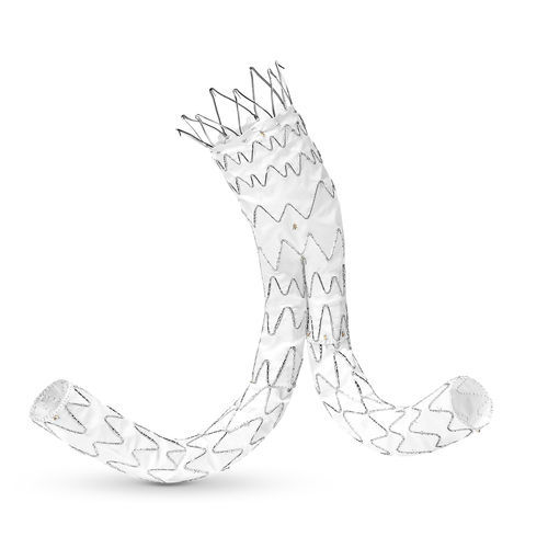 Stentgraft / Aorta abdominalis - E-tegra™ - Artivion - Nitinol / ePTFE