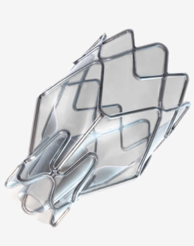 Biologischer Aortenklappenersatz / Endobronchial - ZEPHYR® - pulmonX - nahtlos
