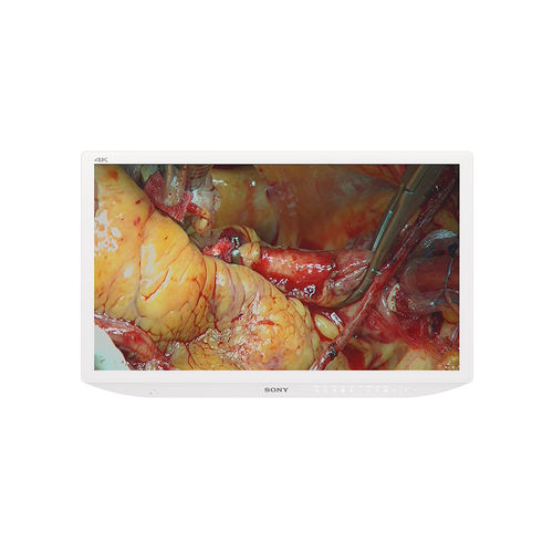 4K-Monitor - LMD-X3200MD - Sony - medizinisch / OP / 31,5"