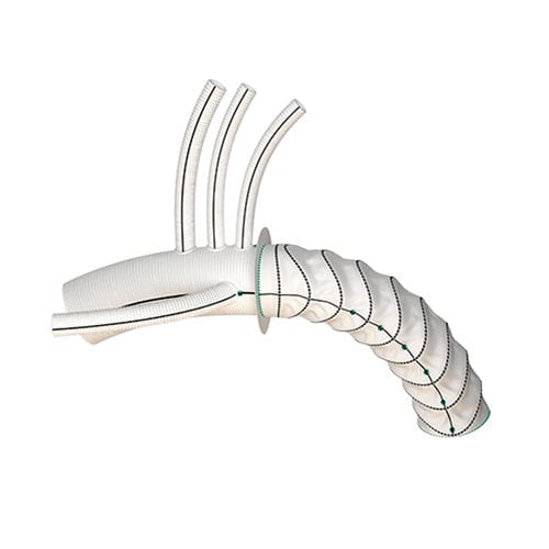 Aortenbogen-Stentgraft - Thoraflex™ - Terumo Aortic