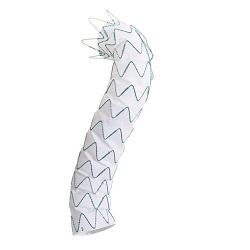 Stentgraft / aufsteigende Thoraxaorta - Relay®Plus - Terumo Aortic - Thoraxaorta / Nitinol / hydrophil