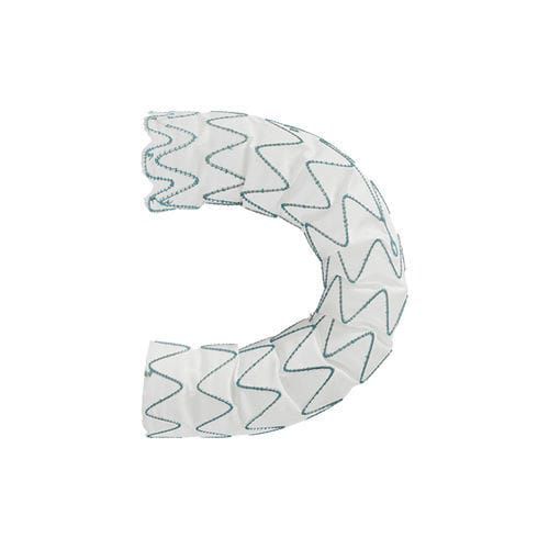 Stentgraft / aufsteigende Thoraxaorta - Relay®Pro - Terumo Aortic - Nitinol / einfach
