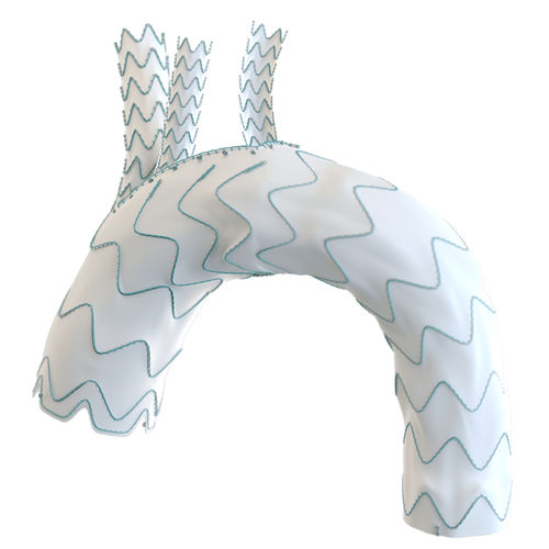 Aortenbogen-Stentgraft - Relay®Branch - Terumo Aortic - Nitinol / ePTFE
