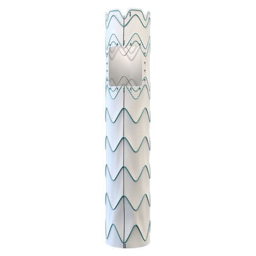 Aortenbogen-Stentgraft - Relay® Multi Feature - Terumo Aortic - Nitinol / ePTFE
