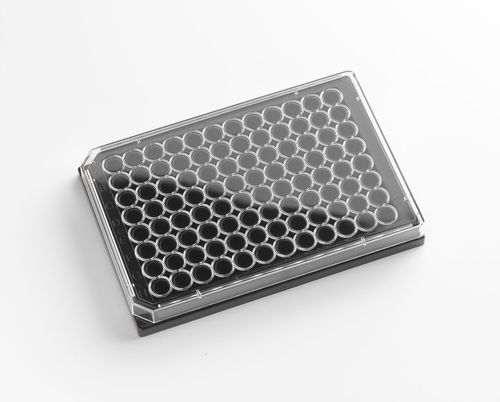 Mikroplatte / 96 Well - 325011 - Porvair Sciences Ltd - Labor / für zellulare Bildgebung / ELISA