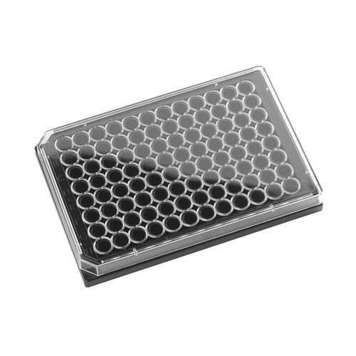 Mikroplatte für Biowissenschaften - 324002 - Porvair Sciences Ltd - 96 Well