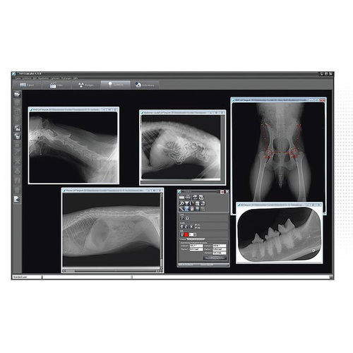 Software zur Bildverbesserung - VET-EXAM plus - DÜRR MEDICAL - Beschaffung / Mess / medizinisch